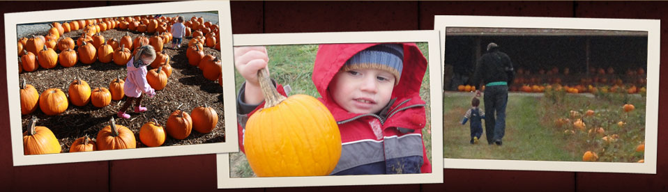 Pumpkin Farm