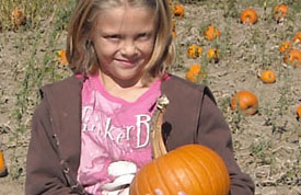 Pumpkin Patch